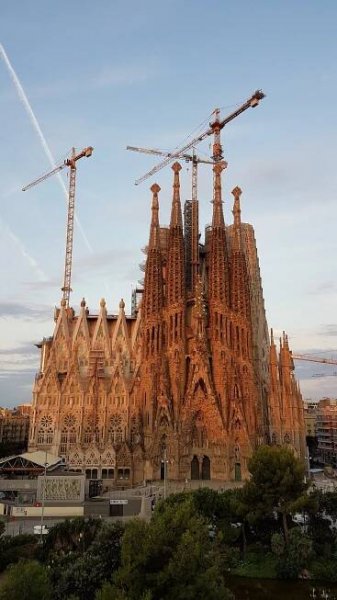 GAUDI'S NEST - Prices & Condominium Reviews (Barcelona, Catalonia)