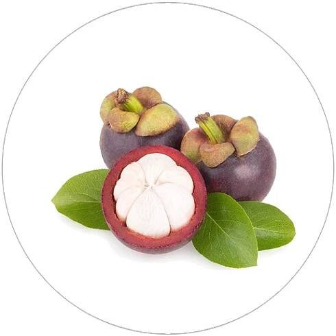 Mangostana lahodná