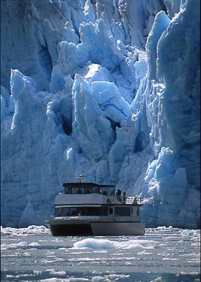 » Tracy Arm Fjord & Glacier Explorer