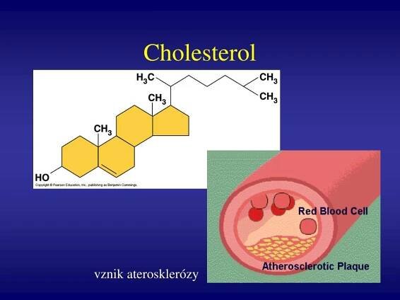 PPT - Biopolymery PowerPoint Presentation, free download - ID:4537646