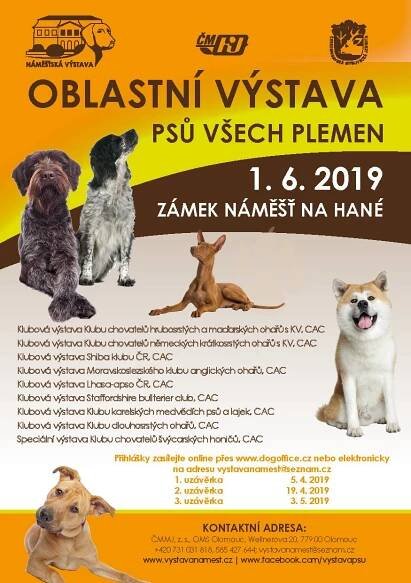 VÍKEND PODLE DRBNY: Oslavte Den dětí po indiánsku, zajděte na výstavu psů nebo nakoukněte do vozovny tramvají