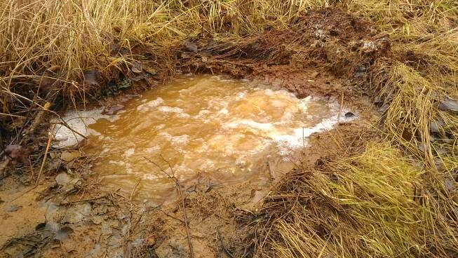 /FOTO, VIDEO/: Všude to syčí a bublá. Rezervace Soos vypadá jako z jiného světa