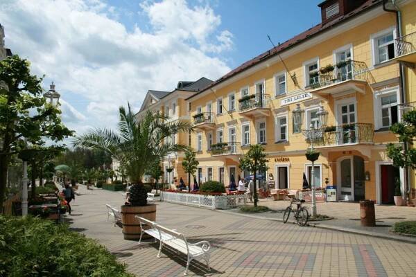 Boutique & Spa hotel Tři lilie **** foto 1