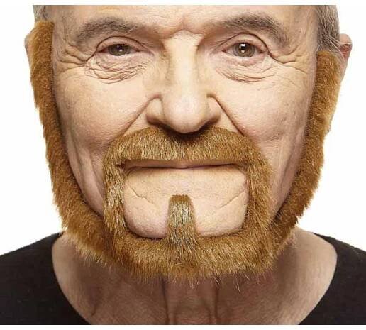 Auburn Moustache & Beard - Costume Accessory