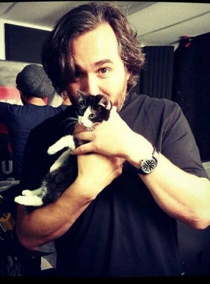 Brooklyn Cat when a kitten! | Brian quinn impractical jokers, Impractical jokers, Brian quinn