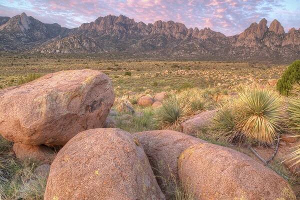 Prehistoric Trackways National Monument