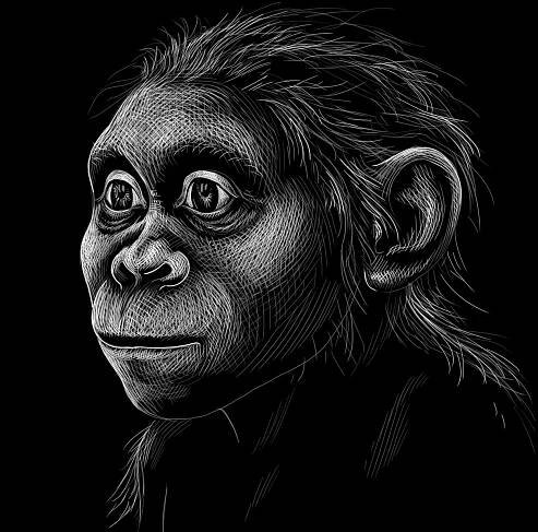 Setkání s objeviteli Lucy a Selam - Národní muzeum