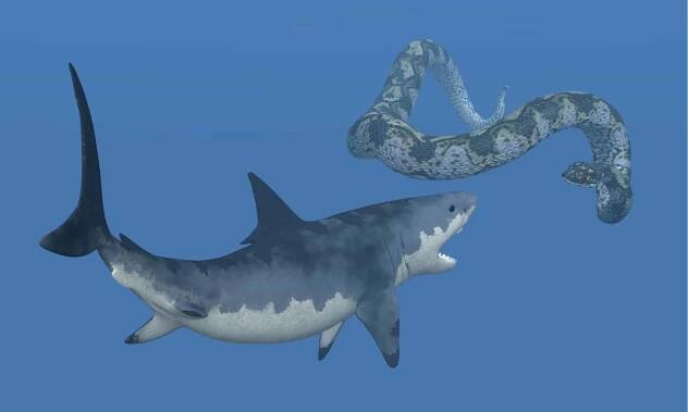 Titanoboa vs Megalodon: Who Would Win in a Fight?