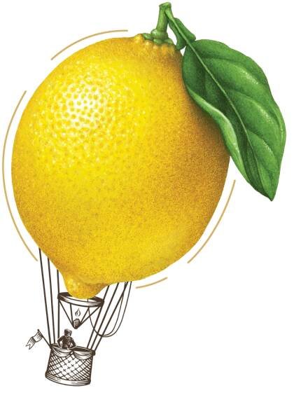 lemon air balloon