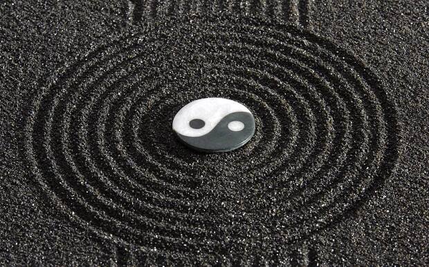 Yin Yang Cat Symbolism | Yin Yang Paradise 