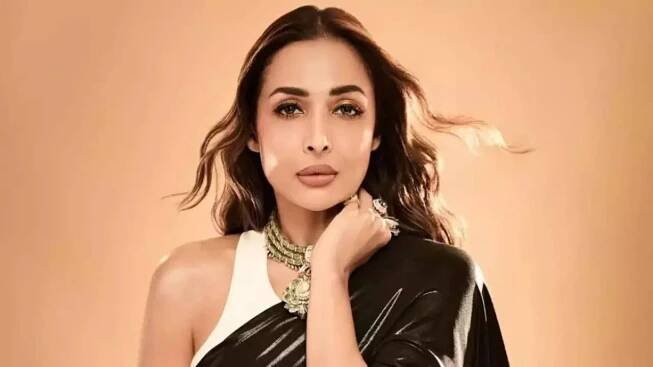Malaika Arora speaks on co-parenting with Arbaaz Khan; says though one has to constantly navigate, the ex-couple has 'found a good balance'