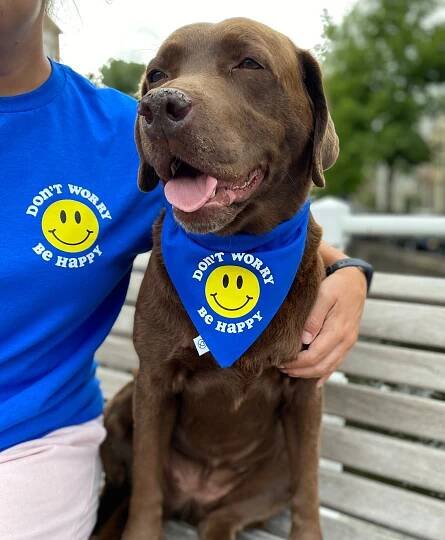 Don’t Worry, Be Happy