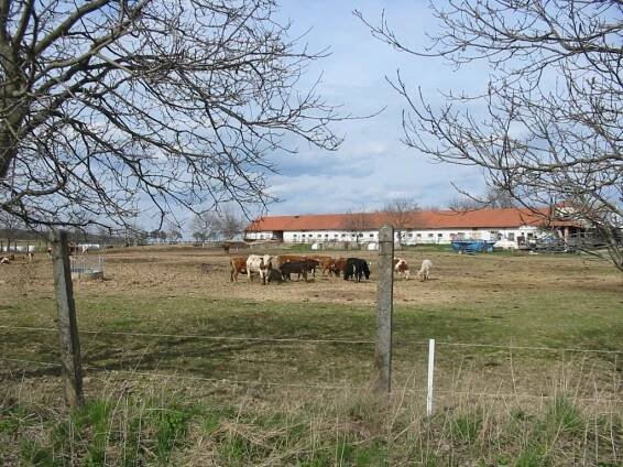 Lažánky | Fotogalerie