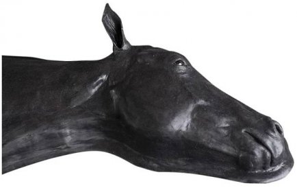 Koňský simulátor (hlava s krkem)
