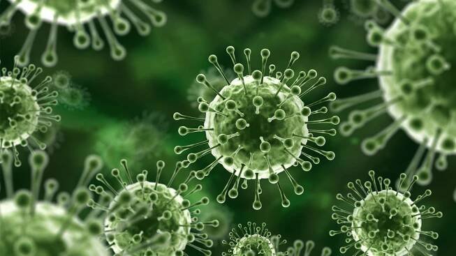 Kerala Reports Second Suspected Nipah Death Community On High Alert