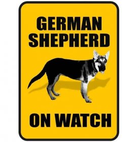 10 důvodů, proč jsou němečtí ovčáci skvělí rodinní psi - Německý ovčák | Free Press