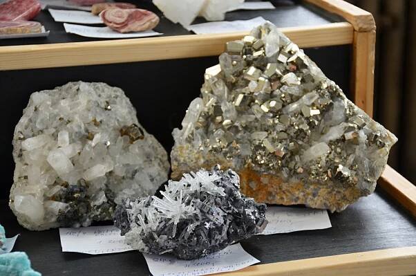 Minerály, zkameněliny i meteorit. Mayrovka se proměnila v geologický ráj