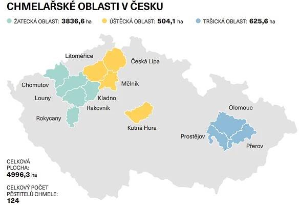 Někde se stala chybička. V Žatci sílí boj o kvalitu českého chmele