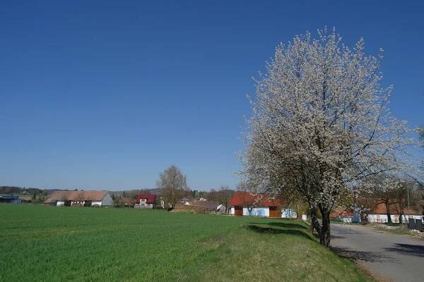 Súbor:Drhovice23.jpg – Wikipédia