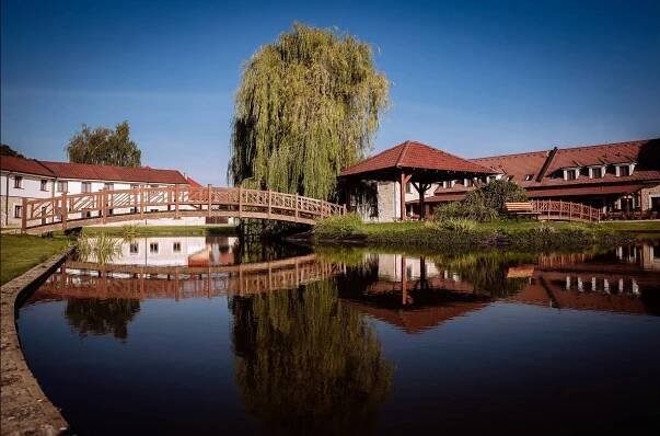 hotel LIONS Nesuchyně