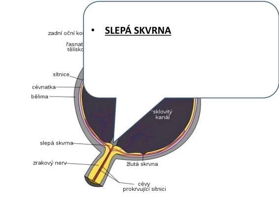 PPT - ŠKOLA: Gymnázium, Tanvald, Školní 305, příspěvková organizace PowerPoint Presentation - ID:6282332