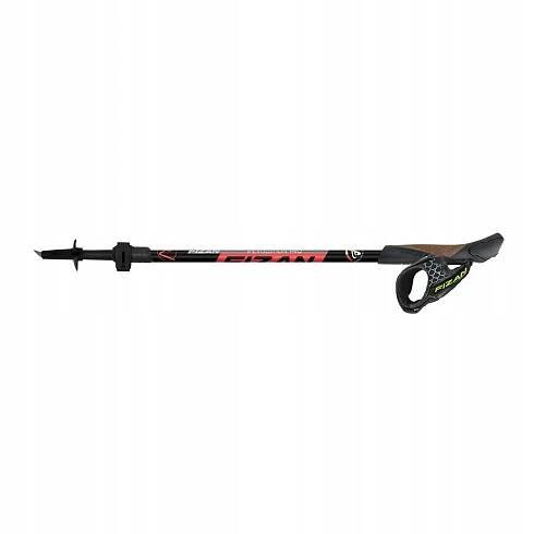 Hole na nordic walking Fizan Revolution Pro 58-130 cm