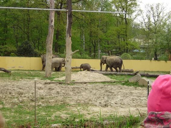 Výlet do zoologické zahrady :) | Mateřská škola Holasovice