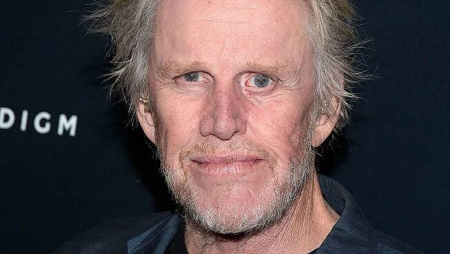 34 Facts About Gary Busey