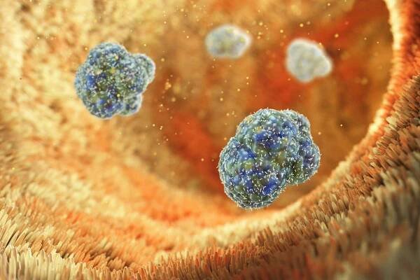 Could Hepatitis C Be Hiding A Schizophrenia Connection?