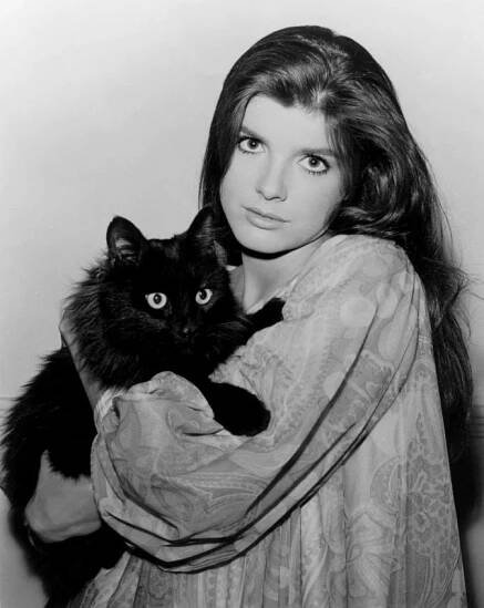Katharine Ross - Wikipedia
