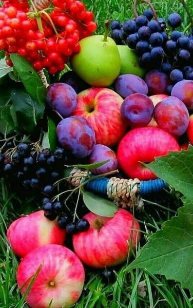 2017-09-26_07-50-16 | Exotic fruit, Fruit photography, Vegetables photography