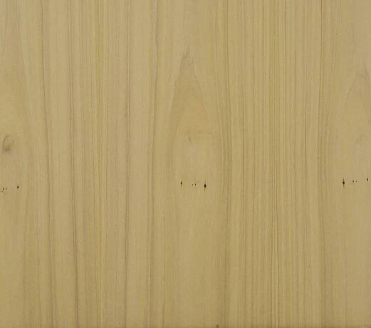 Poplar