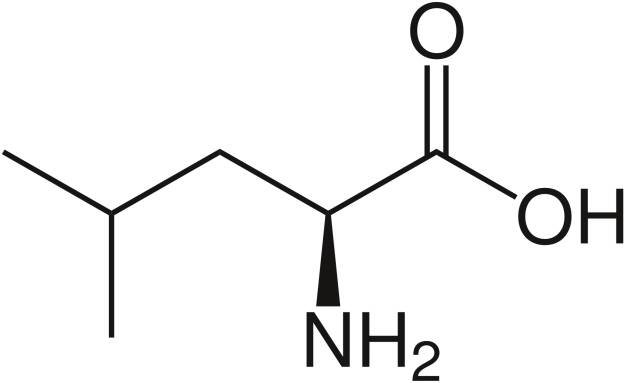 File:L-Leucine.svg - Wikimedia Commons