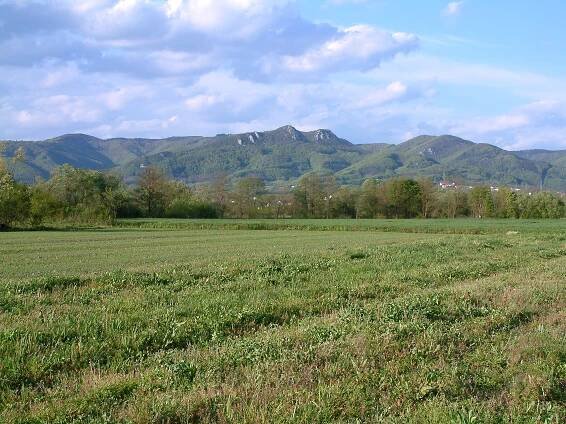 Kozara