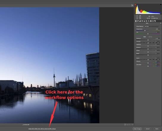 Camera Workflow Settings