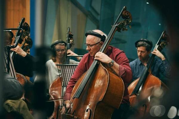Double Bassist