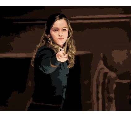 Malování podle čísel - HERMIONA S HŮLKOU (HARRY POTTER)