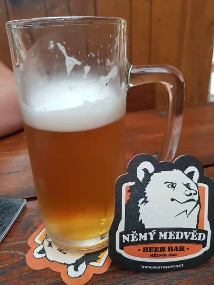 Němý Medvěd Burger & Beer Bar foto 3