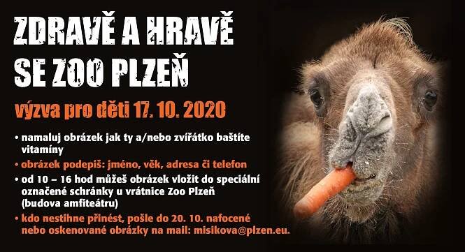 Zdravě/hravě jen na dálku - pošlete obrázek | Zoo Plzeň