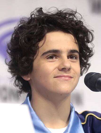 ▷ Jack Dylan Grazer - Česká Wikipedie