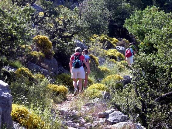 Aura Tour - Turkey, Rountrips, Pilgrimage, Trekking Tours, City Tours
