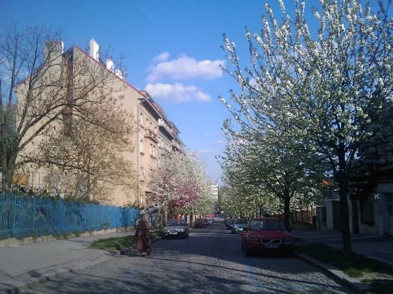 Želivského