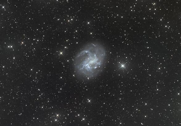 NGC4395