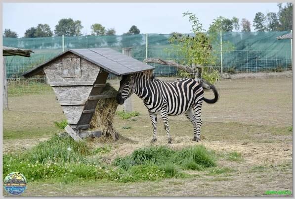 Zoopark Stěžery
