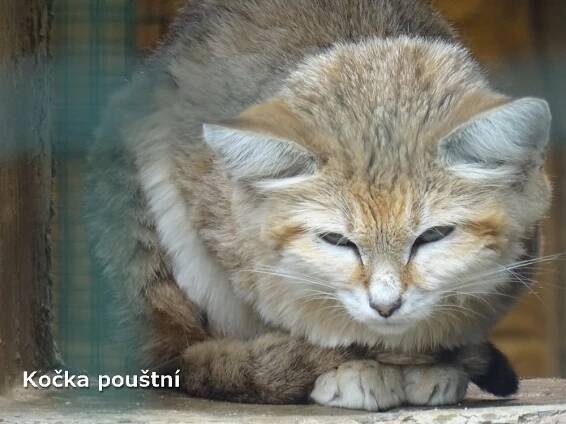 Zámek Kratochvíle a ZOO Hluboká nad Vltavou - KARLOVARSKÉ LISTY