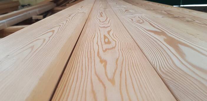 sibiřský modřín od siberian larch s.r.o.