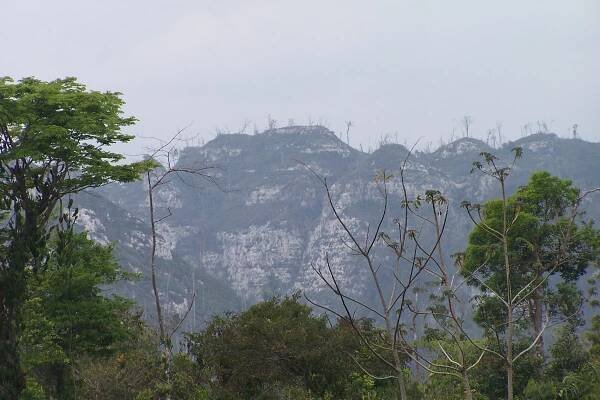Maya Mountains