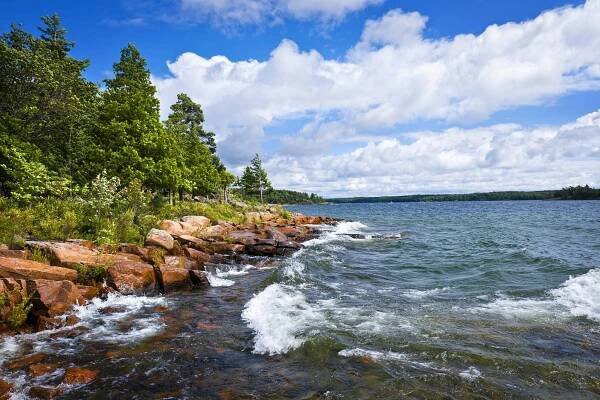 Skalnaté pobřeží v georgian bay — Stock obrázek