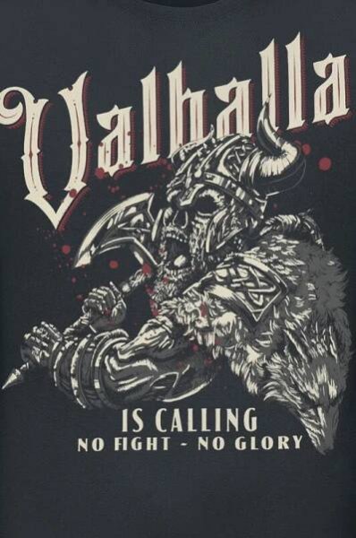 Valhalla is calling - No Fight No Glory