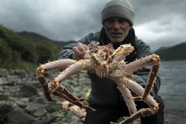 Jeremy Wade: V temných vodách (2019)